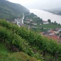 spitz2010-79