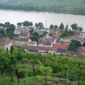 spitz2010-82