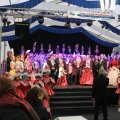 IMG_1254